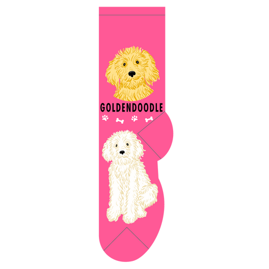 Goldendoodle