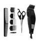 10 Piece Hair & Beard Clipping Kit